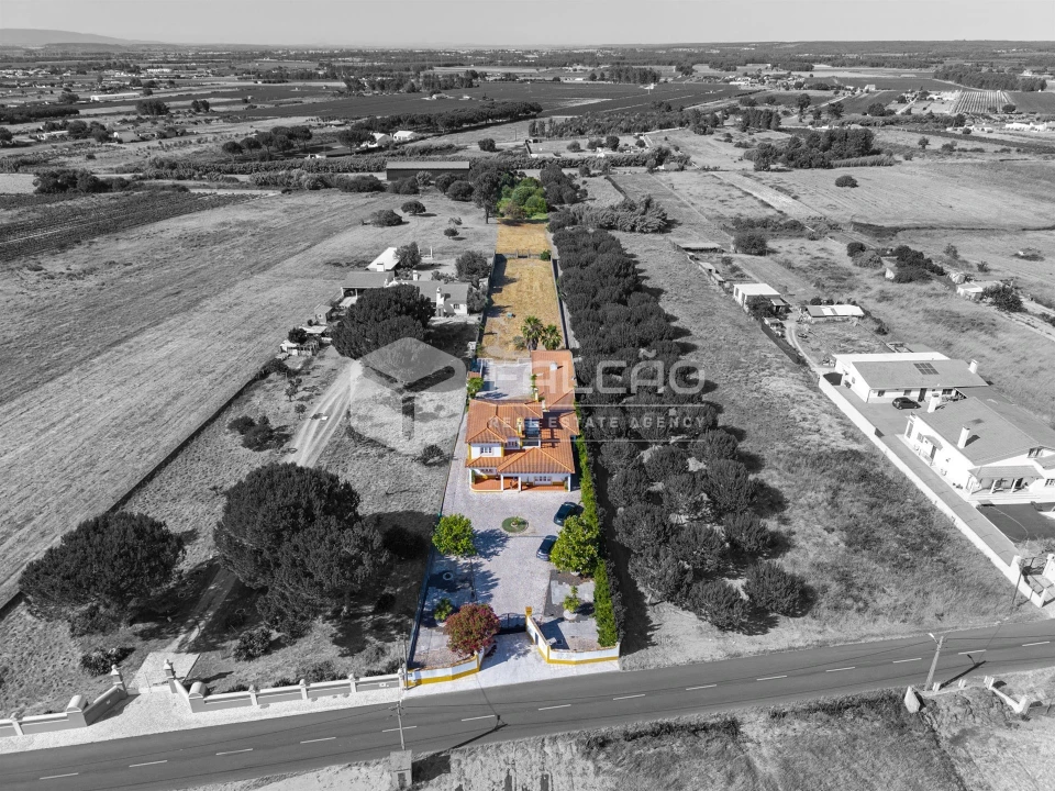 Moradia T4 para Venda em Almeirim Foto 63