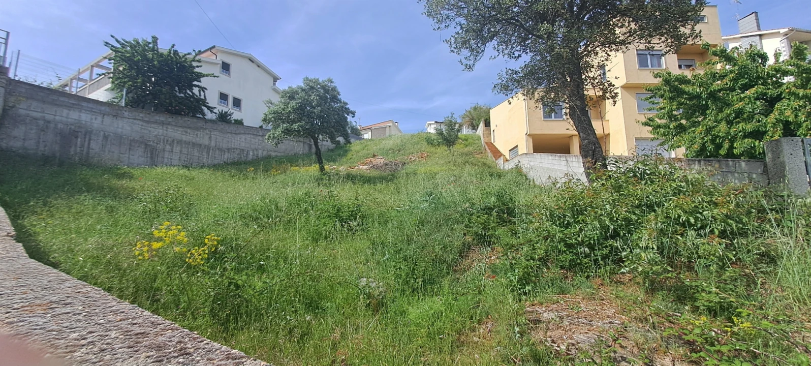 Terreno para Venda em Miranda do Douro Foto 5