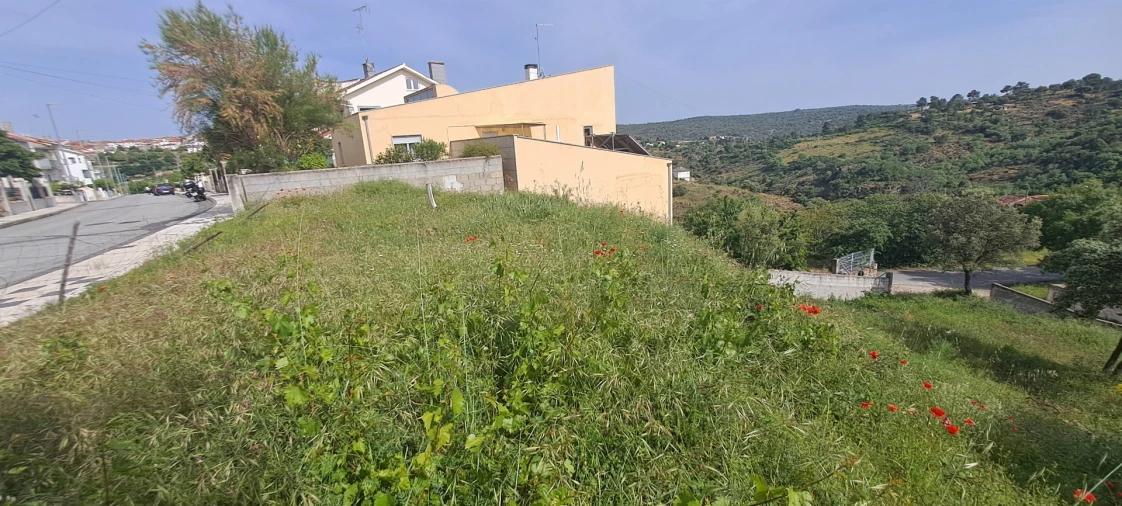 Terreno para Venda em Miranda do Douro Foto 9