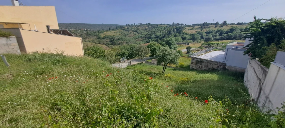 Terreno para Venda em Miranda do Douro Foto 8