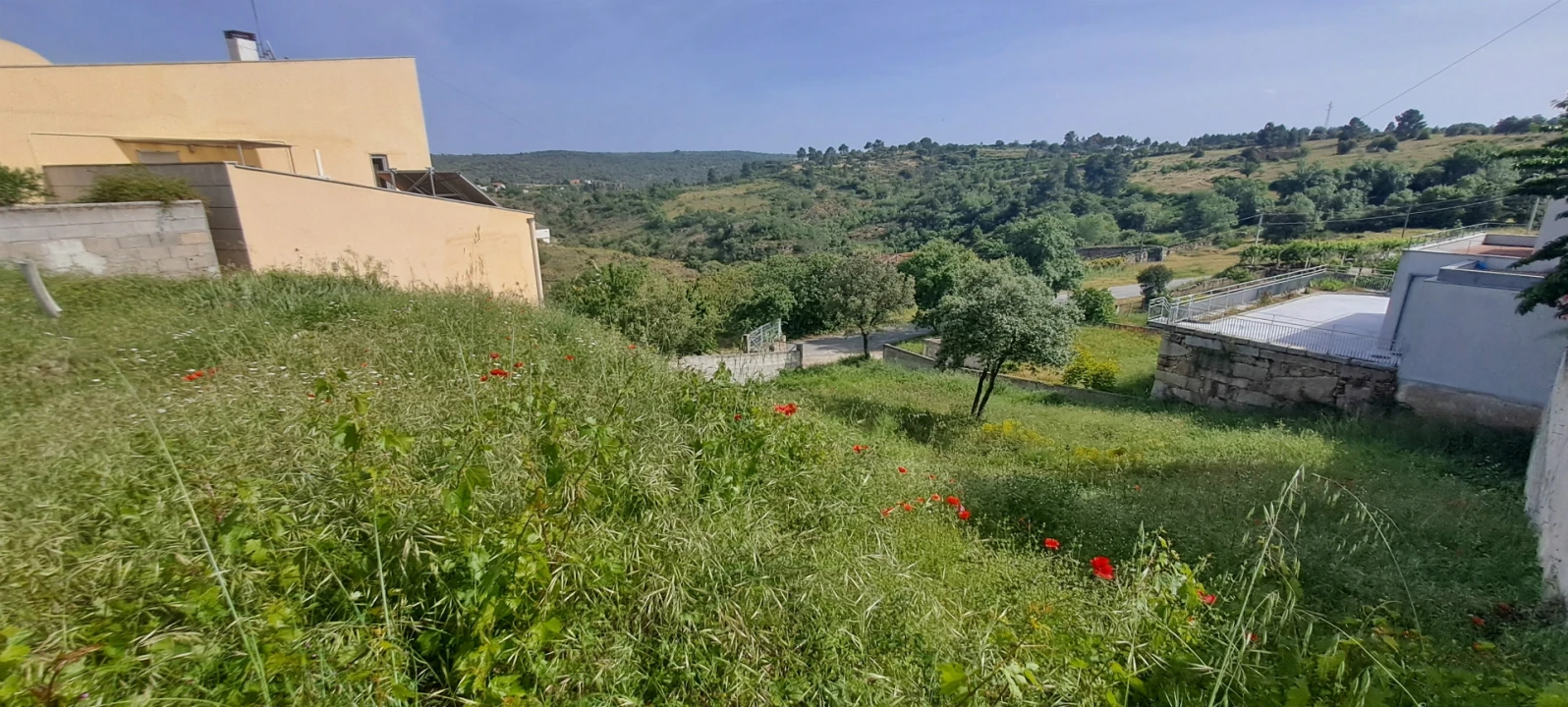 Terreno para Venda em Miranda do Douro Foto 1