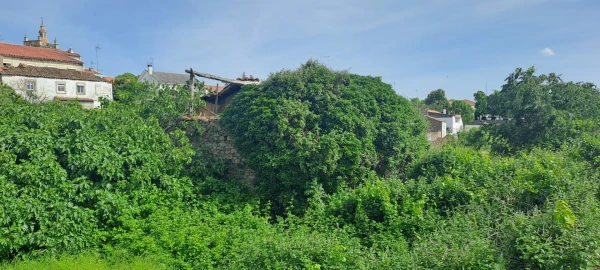 Moradia T2 para Venda em Miranda do Douro