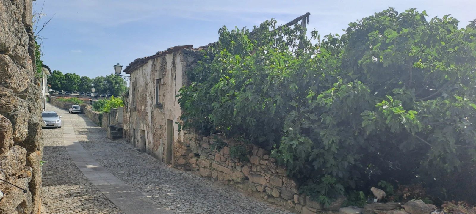 Moradia T2 para Venda em Miranda do Douro Foto 4