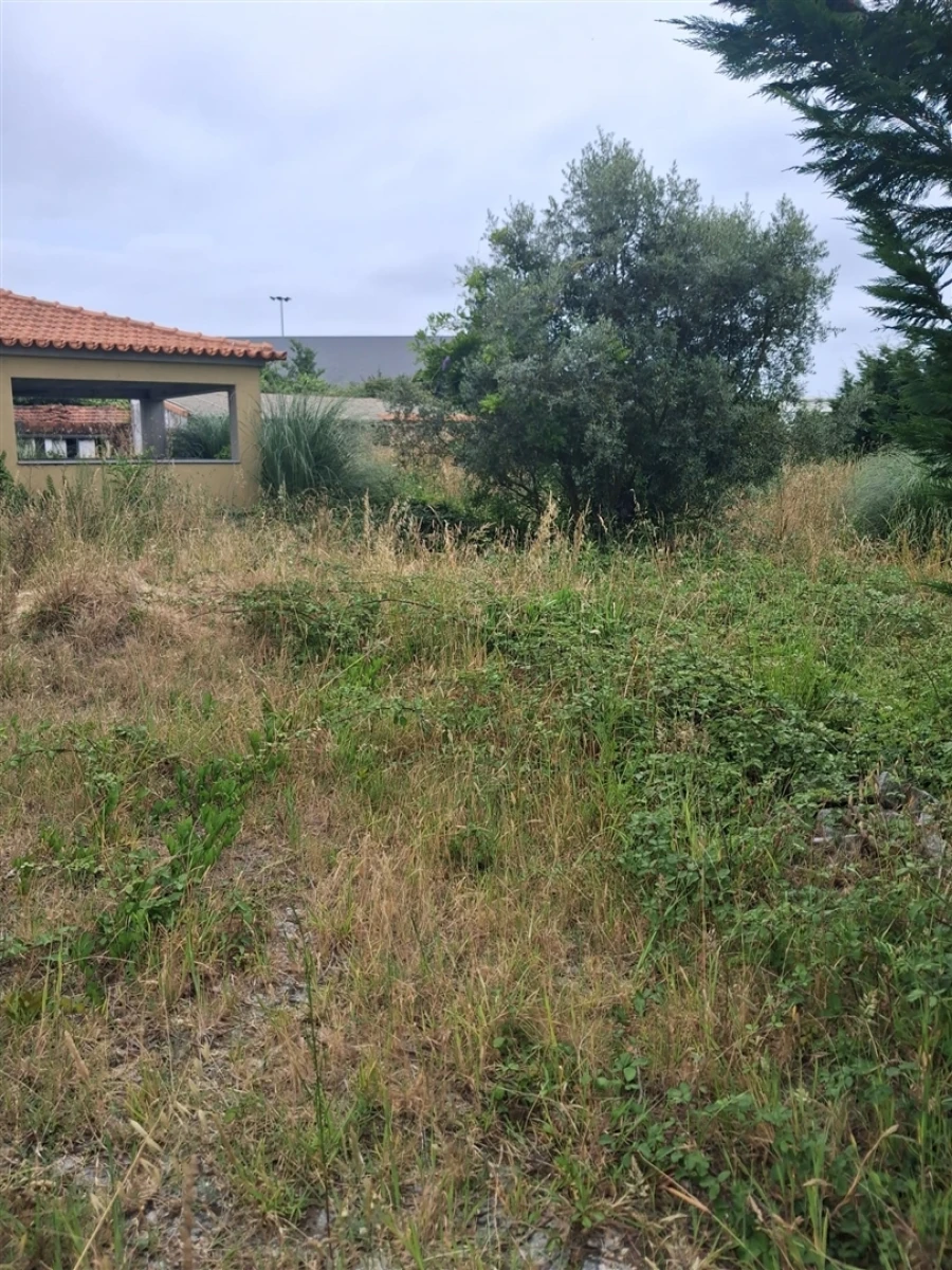 Moradia T10 para Venda em Ovar, São João, Arada e São Vicente de Pereira Jusã Foto 6