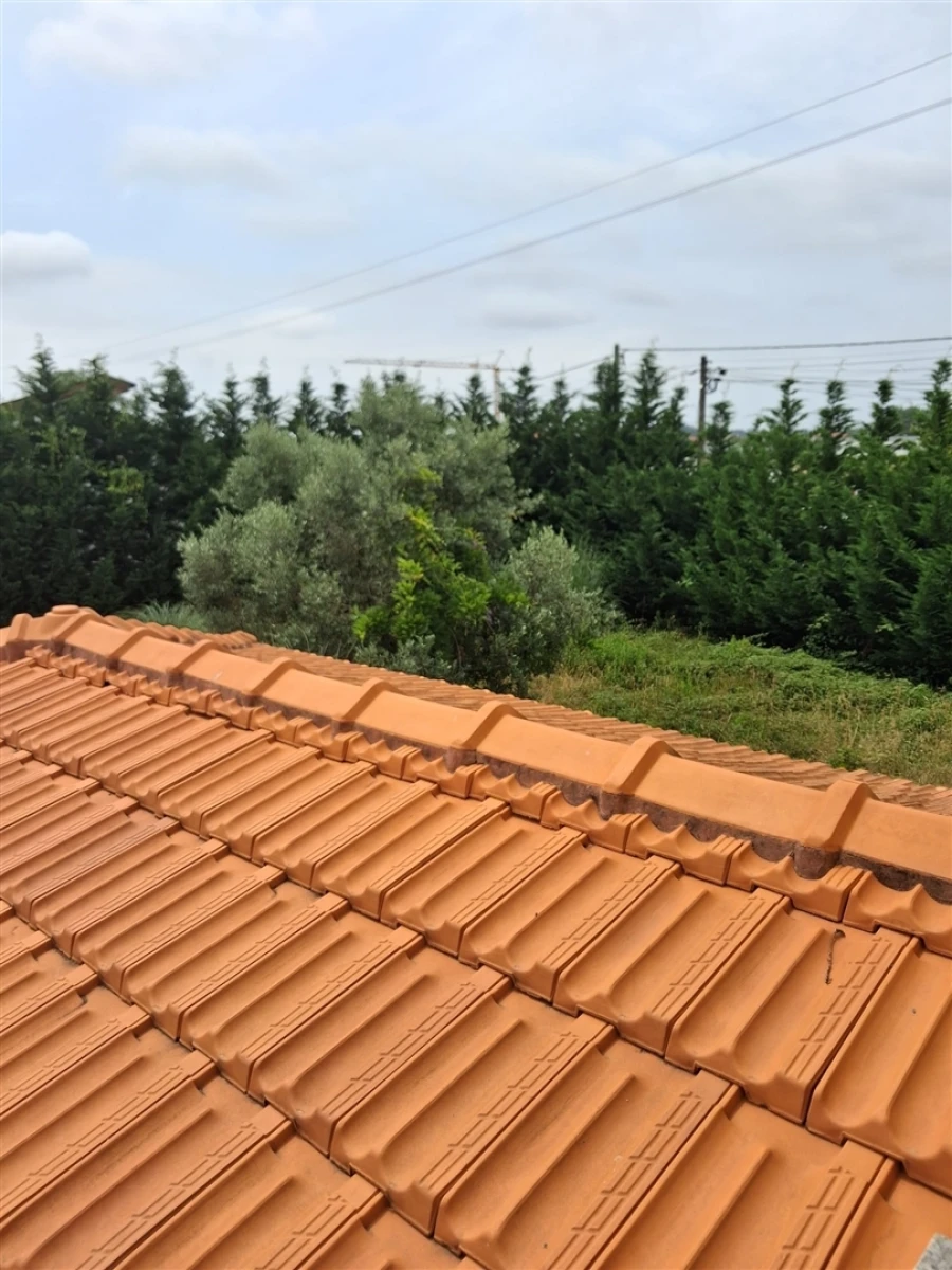 Moradia T10 para Venda em Ovar, São João, Arada e São Vicente de Pereira Jusã Foto 4