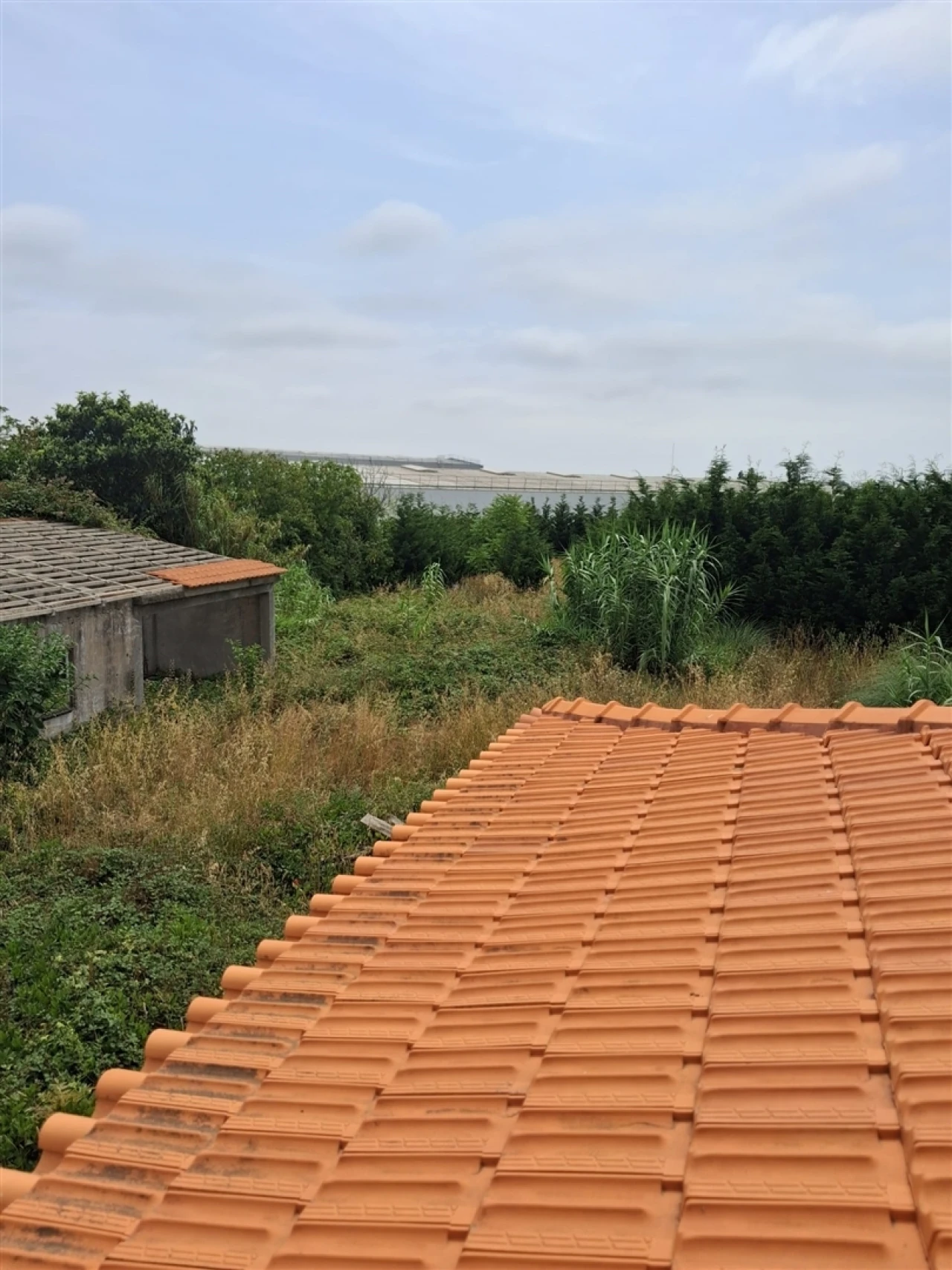 Moradia T10 para Venda em Ovar, São João, Arada e São Vicente de Pereira Jusã Foto 5