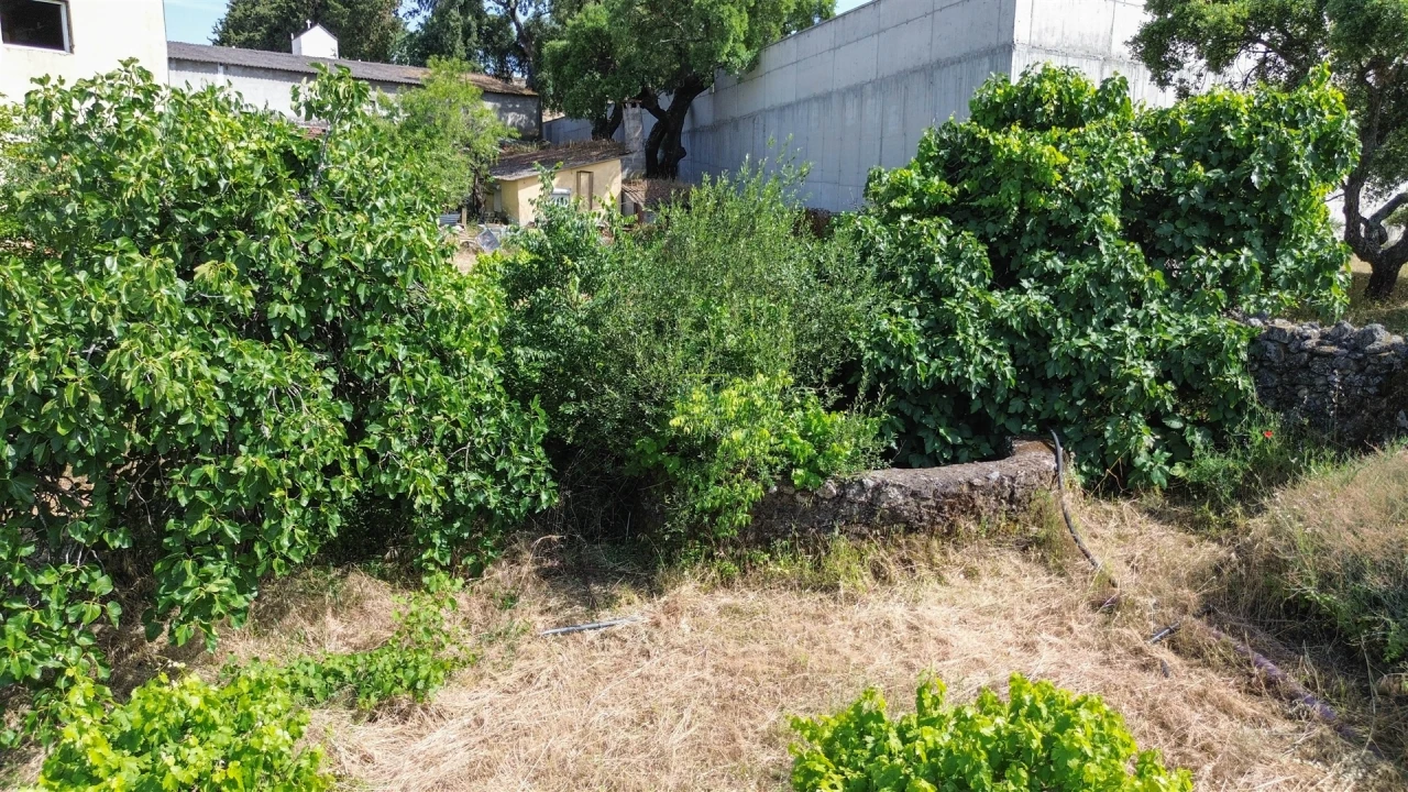 Quinta T3 para Venda em Castelo Branco Foto 21