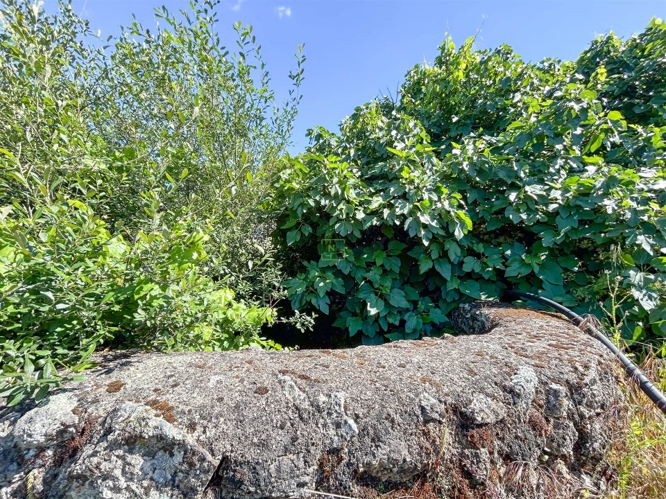 Quinta T3 para Venda em Castelo Branco Foto 22