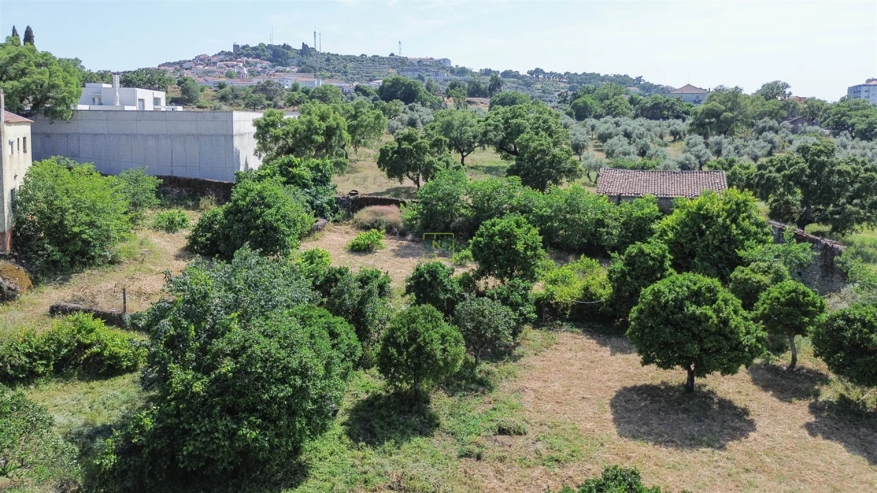 Quinta T3 para Venda em Castelo Branco Foto 20