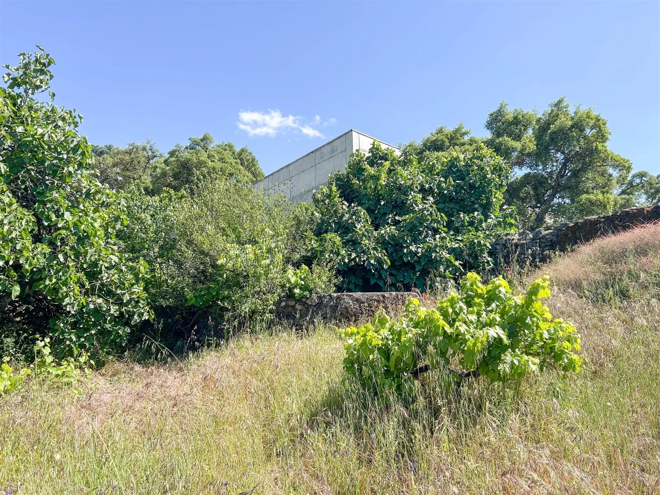Quinta T3 para Venda em Castelo Branco Foto 59
