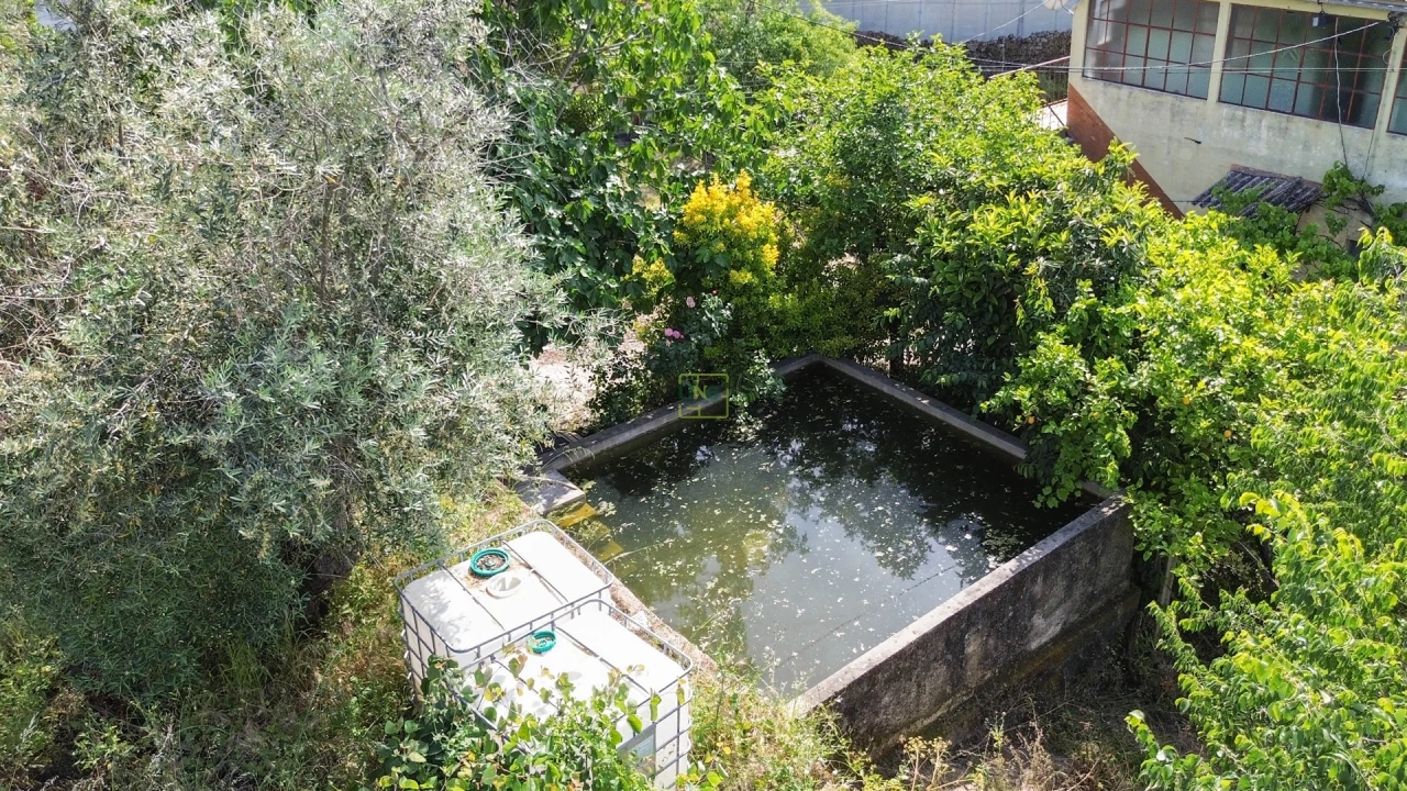 Quinta T3 para Venda em Castelo Branco Foto 7