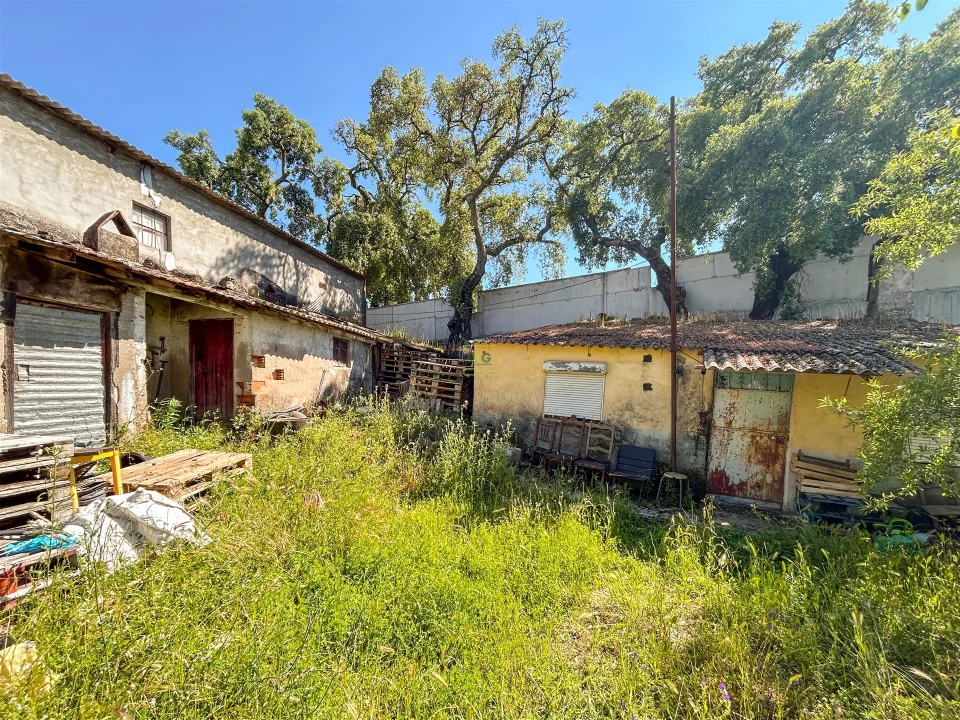 Quinta T3 para Venda em Castelo Branco Foto 74