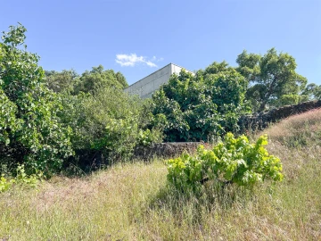 Quinta T3 para Venda em Castelo Branco