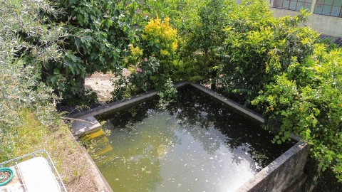 Quinta T3 para Venda em Castelo Branco