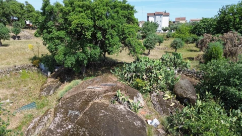 Quinta T3 para Venda em Castelo Branco