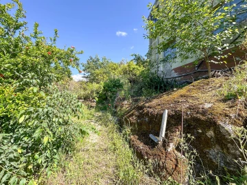 Quinta T3 para Venda em Castelo Branco