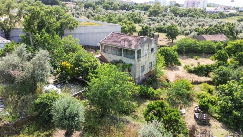 Quinta T3 para Venda em Castelo Branco