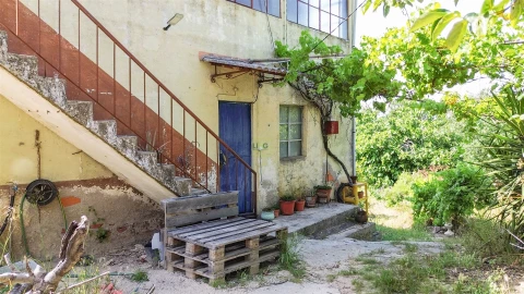 Quinta T3 para Venda em Castelo Branco