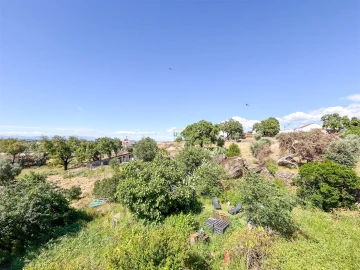 Quinta T3 para Venda em Castelo Branco