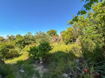 Quinta T3 para Venda em Castelo Branco