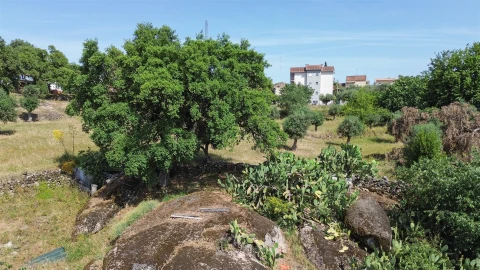 Quinta T3 para Venda em Castelo Branco