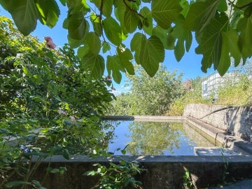 Quinta T3 para Venda em Castelo Branco