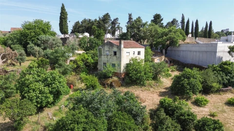 Quinta T3 para Venda em Castelo Branco