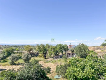 Quinta T3 para Venda em Castelo Branco