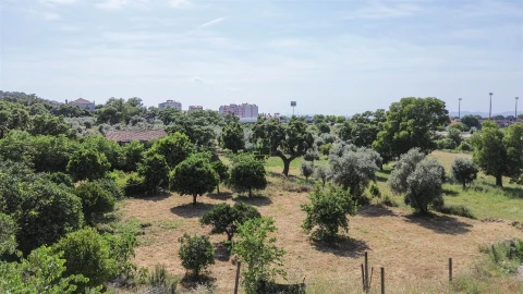 Quinta T3 para Venda em Castelo Branco