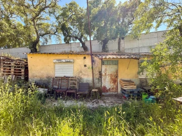 Quinta T3 para Venda em Castelo Branco
