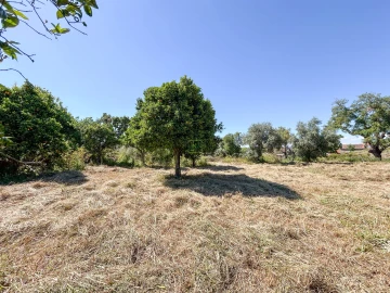 Quinta T3 para Venda em Castelo Branco