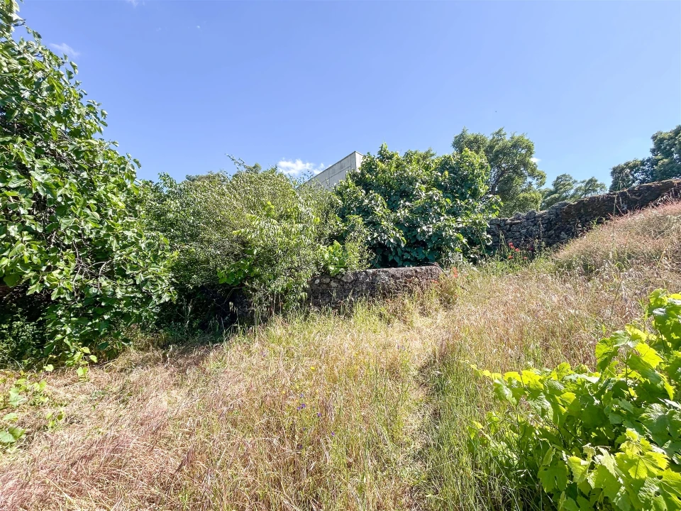 Quinta T3 para Venda em Castelo Branco Foto 62