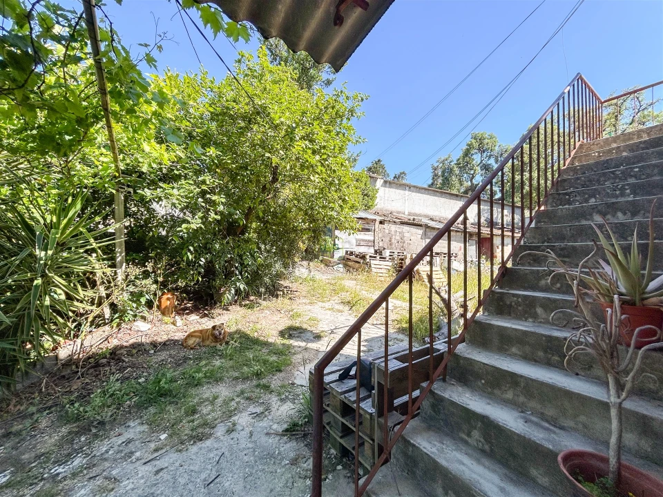 Quinta T3 para Venda em Castelo Branco Foto 76