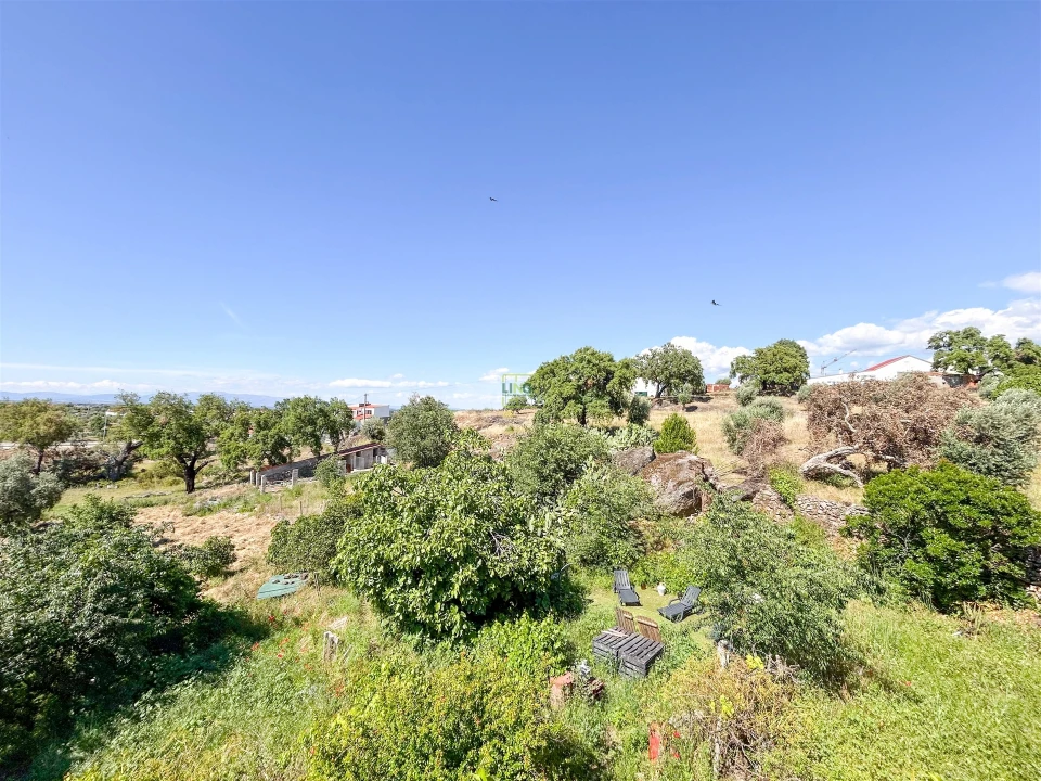 Quinta T3 para Venda em Castelo Branco Foto 63