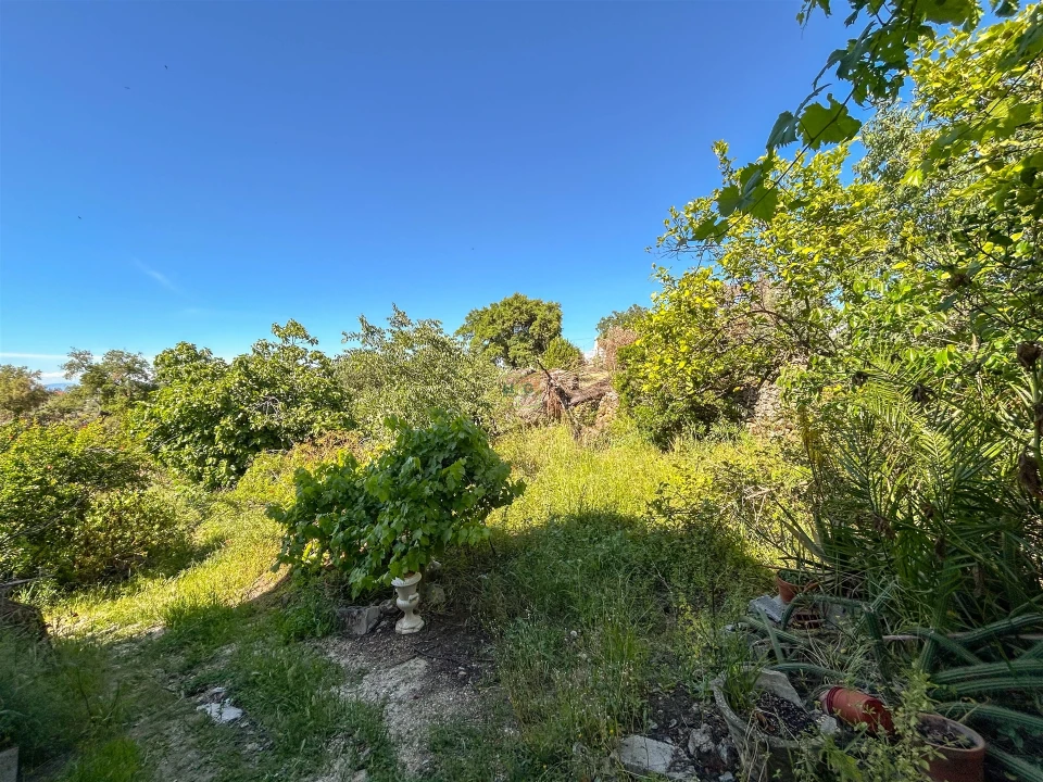 Quinta T3 para Venda em Castelo Branco Foto 75