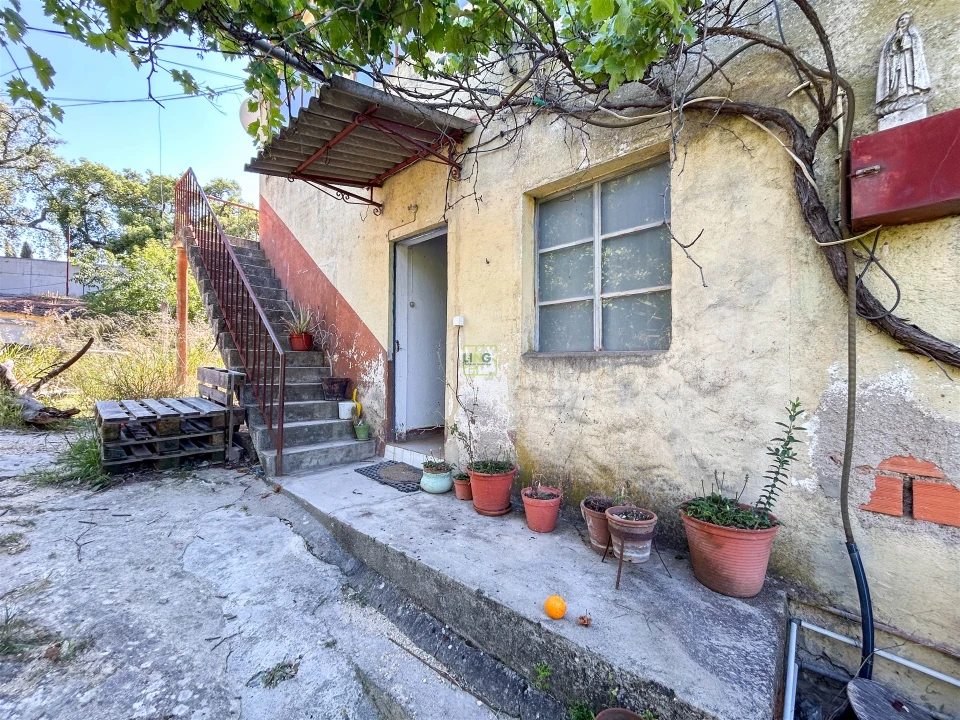 Quinta T3 para Venda em Castelo Branco Foto 54