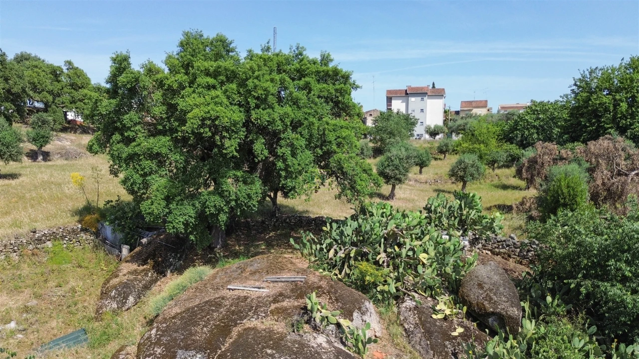 Quinta T3 para Venda em Castelo Branco Foto 24
