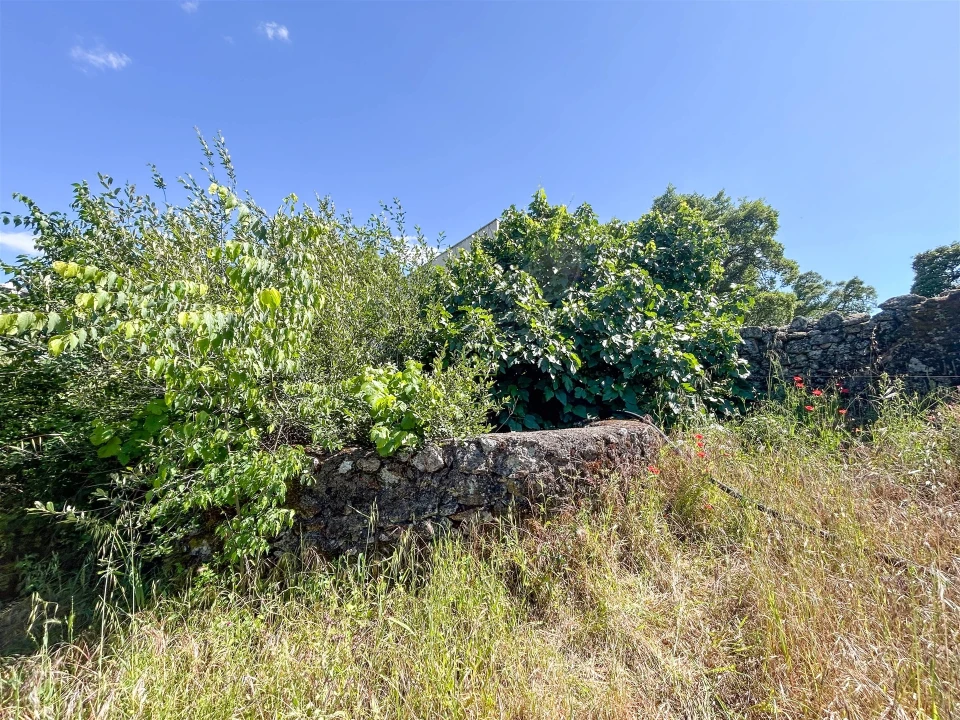 Quinta T3 para Venda em Castelo Branco Foto 64