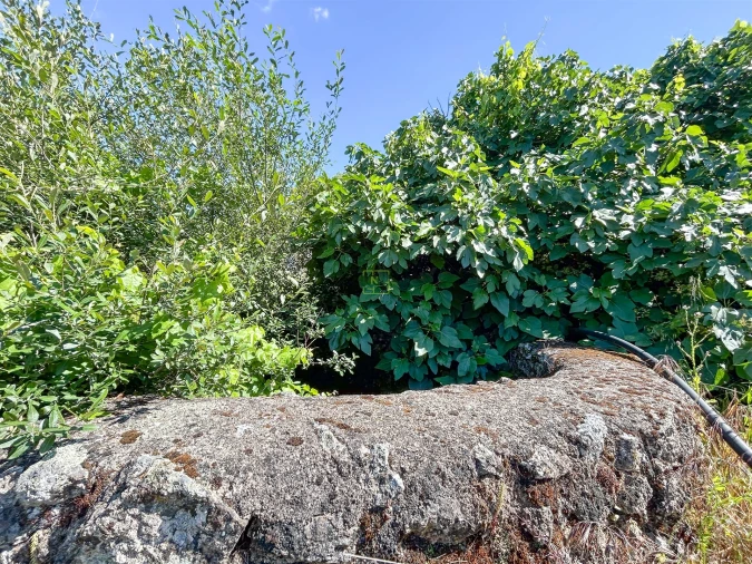 Quinta T3 para Venda em Castelo Branco Foto 22