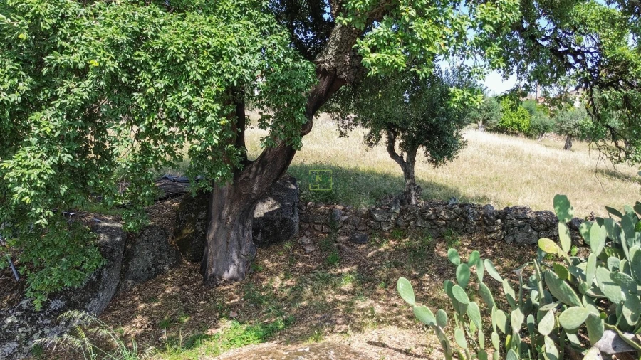 Quinta T3 para Venda em Castelo Branco Foto 25