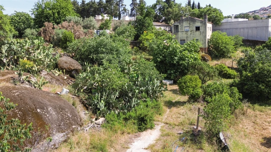 Quinta T3 para Venda em Castelo Branco Foto 18