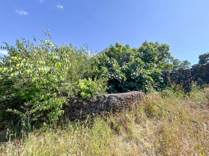Quinta T3 para Venda em Castelo Branco Foto 64