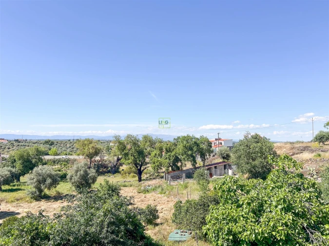Quinta T3 para Venda em Castelo Branco Foto 65