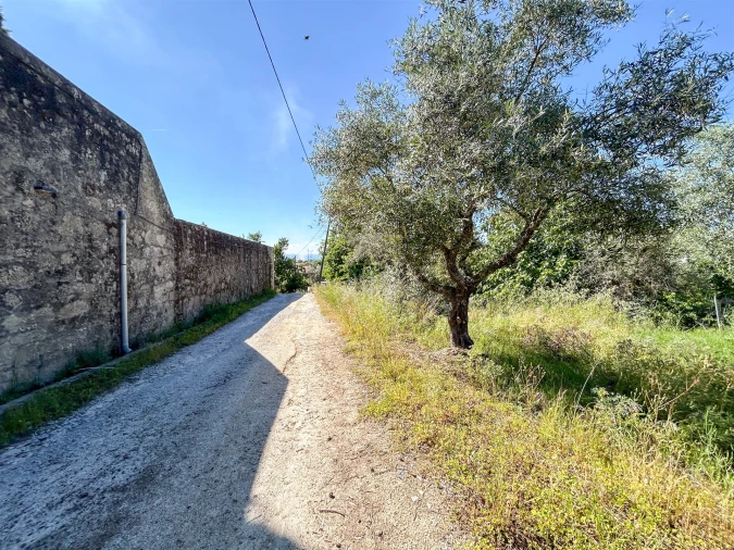 Quinta T3 para Venda em Castelo Branco Foto 3
