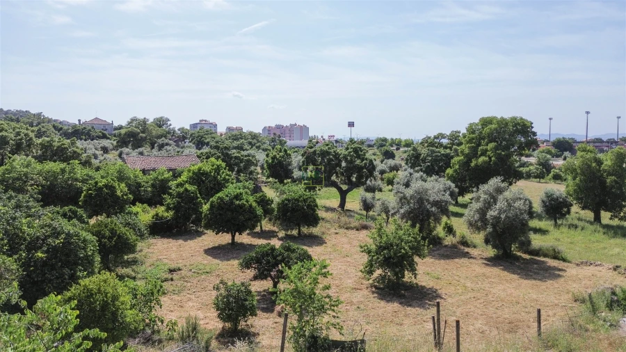 Quinta T3 para Venda em Castelo Branco Foto 26