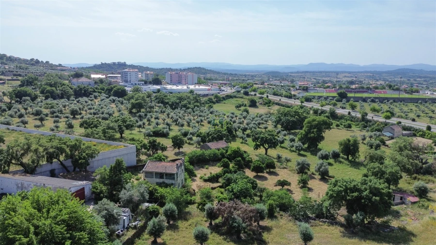 Quinta T3 para Venda em Castelo Branco Foto 10