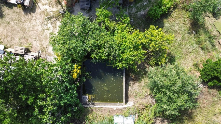 Quinta T3 para Venda em Castelo Branco Foto 9