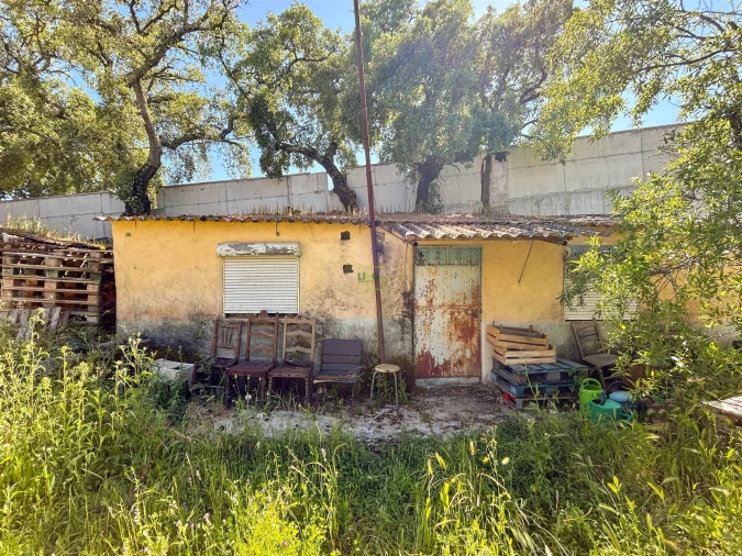 Quinta T3 para Venda em Castelo Branco Foto 72