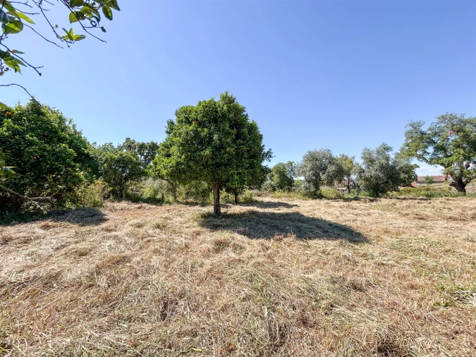 Quinta T3 para Venda em Castelo Branco Foto 68