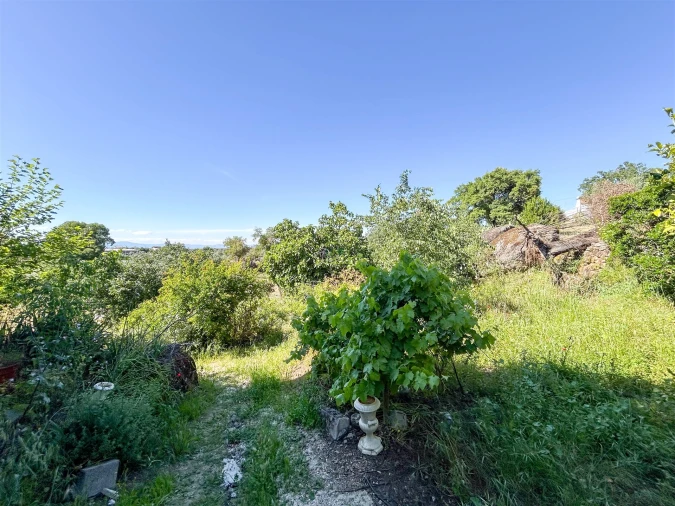 Quinta T3 para Venda em Castelo Branco Foto 77